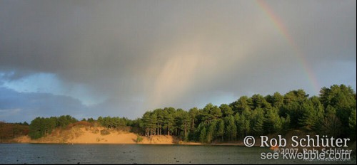 Een bui met regenboog trekt over een duinmeer met de dennen op de oever in het zonlicht.