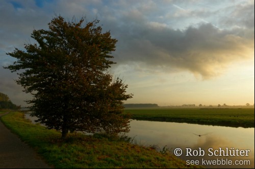In het gras van de oever van een brede poldersloot staat een boom in herstkleuren. Aan de andere kant van de sloot is het weiland van het Dietsveld met daarboven wolken die van de zijkant verlicht worden door de opkomende zon.